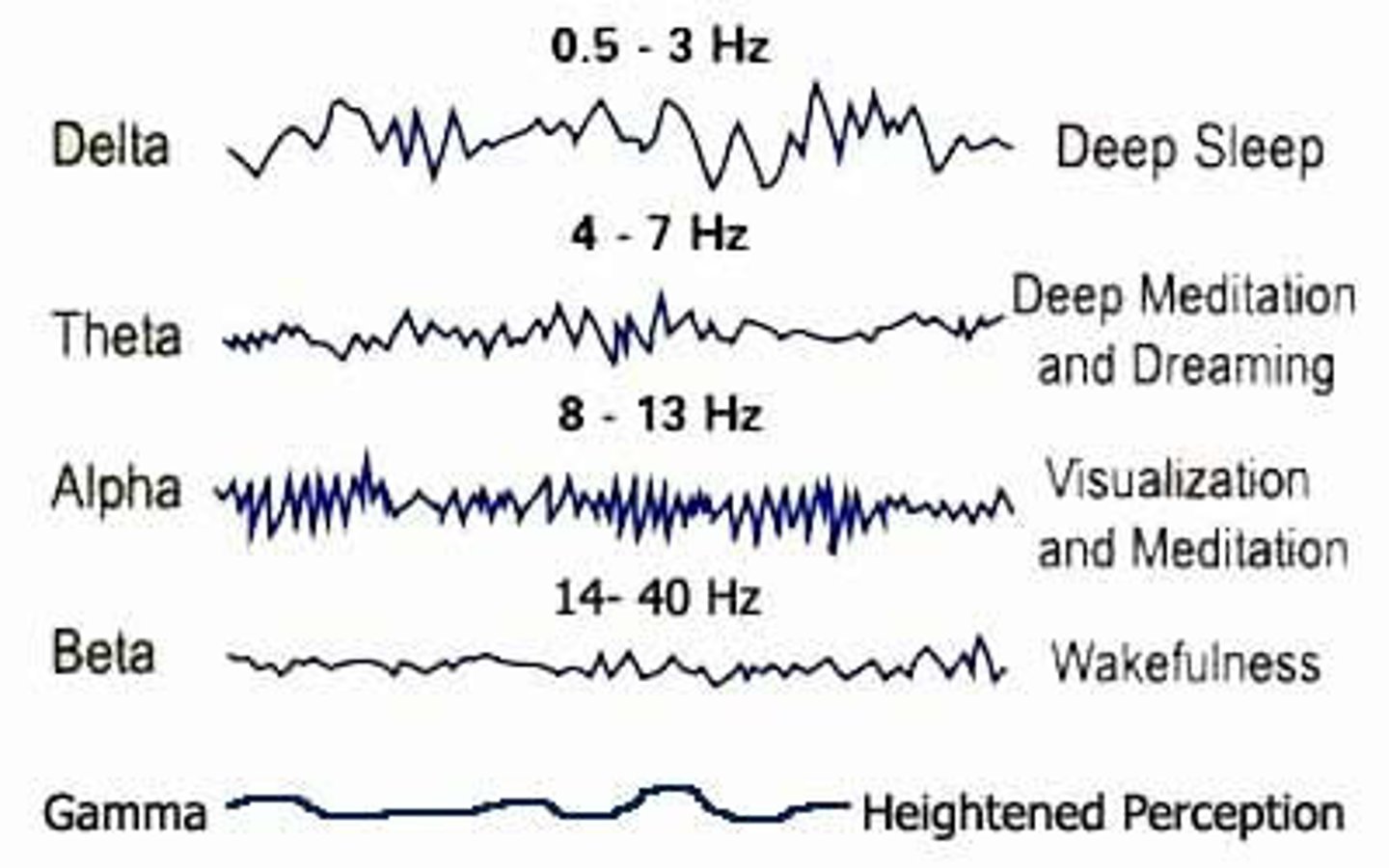 <p>(B) Alpha Waves, Delta Waves</p><p>On an electroencephalogram (EEG), ALPHA waves have a frequency of 8-13 Hz and are present when one is in a daydreaming state, while DELTA waves have a frequency of 0.5-3 Hz and are seen most often when one is in a coma or deep sleep.</p>