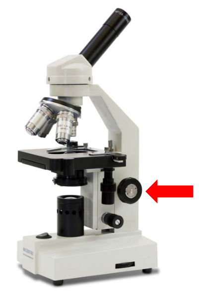 <p>What is this part called?</p>