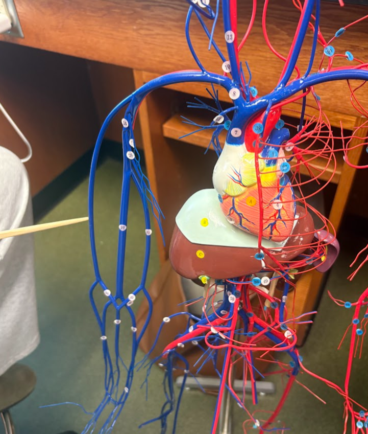<p>What is this?</p>