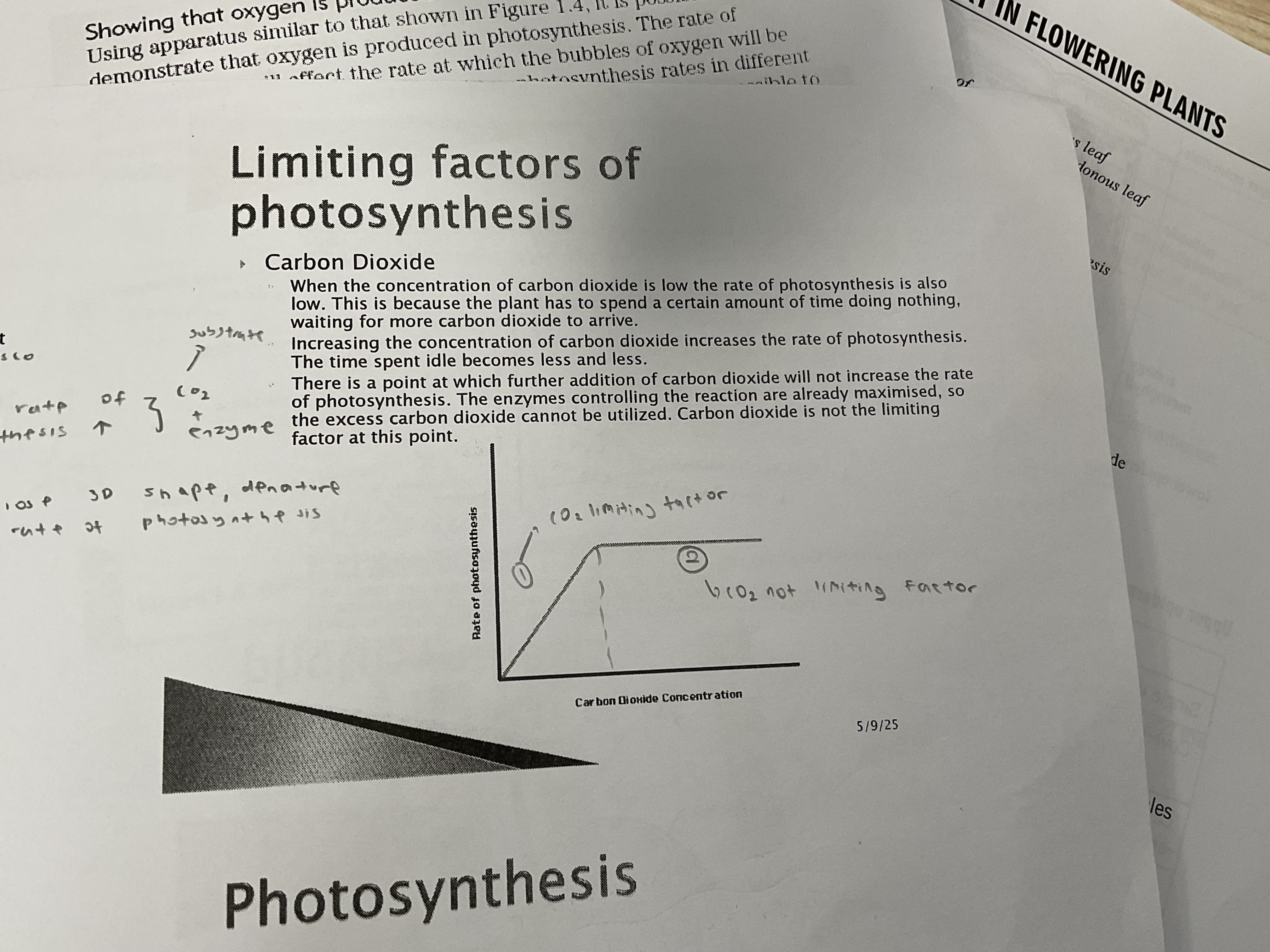 <p>Carbon dioxide</p>