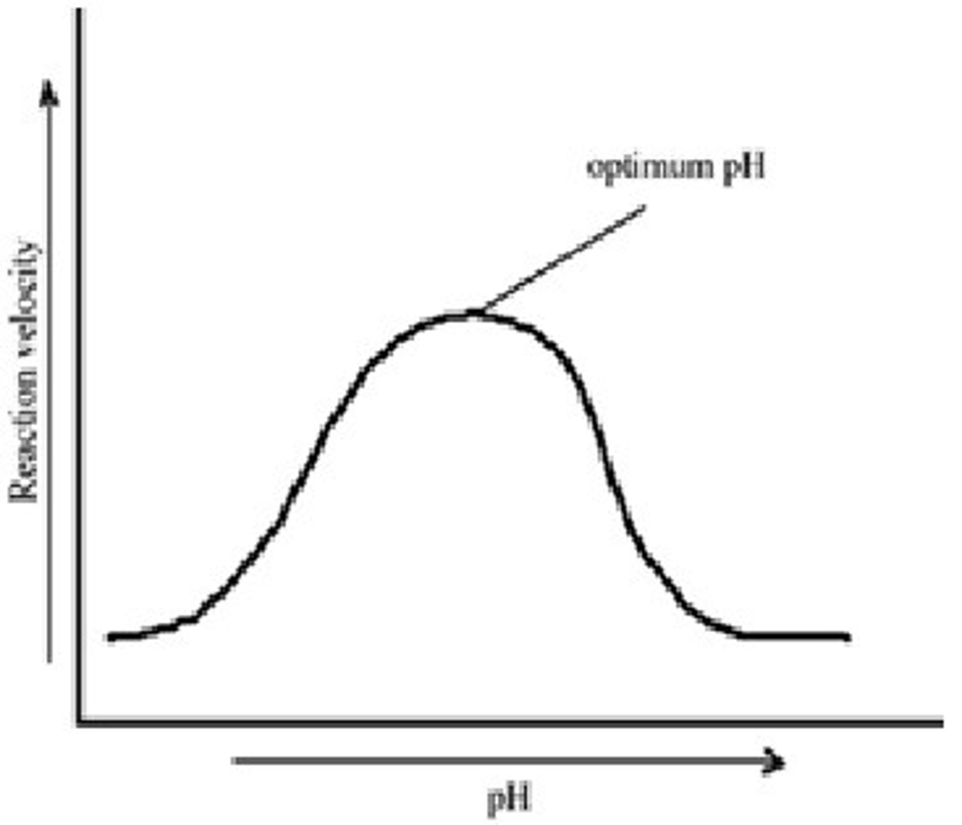 <p>1. low pH denatures the enzyme, reduces rate</p><p>2. optimum pH, maximum rate</p><p>3. high pH denatures the enzyme, reduce rate</p>