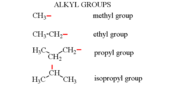 <p>Define <strong>Alkyl Group</strong> and give common examples.</p>