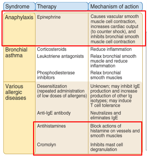 <p><span><span>Inhibiting mast cell degranulation, antagonizing the effects of mast cell mediators and reducing inflammation.</span></span></p><p><span><span>Antihistamines: relax bronchial smooth muscles in asthma; epinephrine in anaphylaxis.</span></span></p><p><span><span>Corticosteroids: inhibit inflammation.</span></span></p><p><span><span>Humanized monoclonal antibody to IgE (e.g . Omalizumab, approved in the U.S)-</span><u><span>useful only if IgE is not already bound to FceR1 e.g. food allergies</span></u></span></p><p><span><span>Block the action of cytokines e.g IL-4 / IL-5 or their receptors</span></span></p>