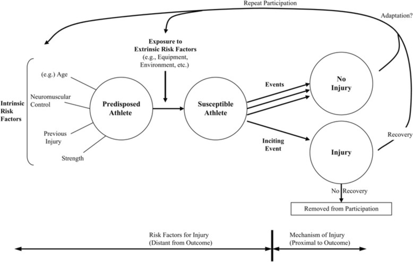 builds more onto the multifactorial model. Describes how risk factors are transient and constantly changing. A susceptible athlete can go through many risky situations without injury occuring leading to adaption/maladaption. however once an injury occurs after an inciting event they can either recover, adapt, and then continually modify their risk factors, or there is no recovery and they are removed from participation