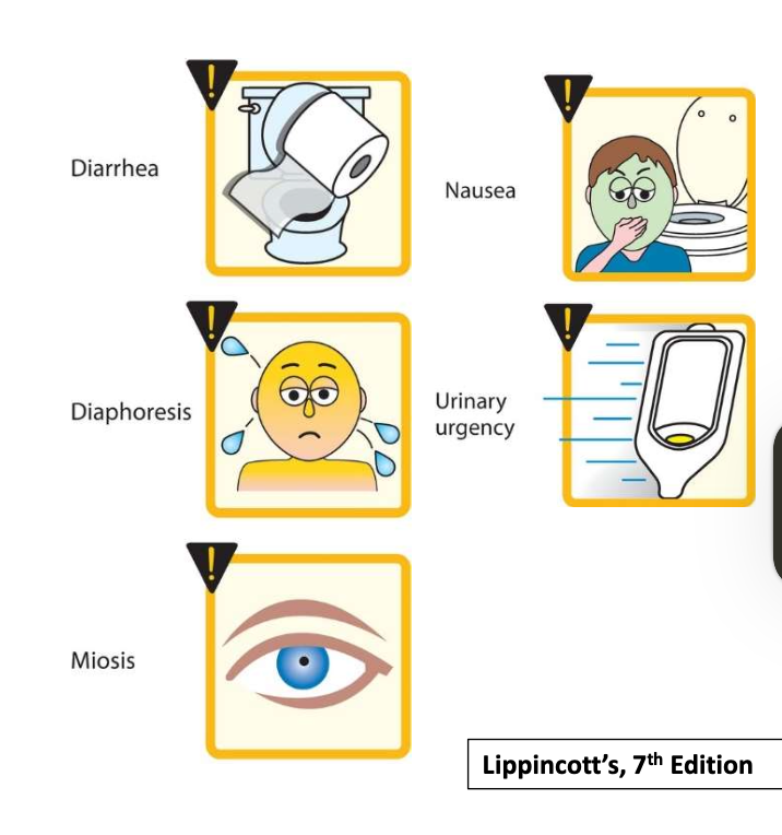 <p><span><span> &nbsp;Sweating</span></span></p><p><span><span> &nbsp;Salivation</span></span></p><p><span><span> &nbsp;Flushing</span></span></p><p><span><span> &nbsp;Decreased blood pressure (with reflex tachycardia)</span></span></p><p><span><span> &nbsp;Nausea</span></span></p><p><span><span> &nbsp;Abdominal pain</span></span></p><p><span><span> &nbsp;Diarrhea and bronchospasm</span></span></p><p></p><p></p>