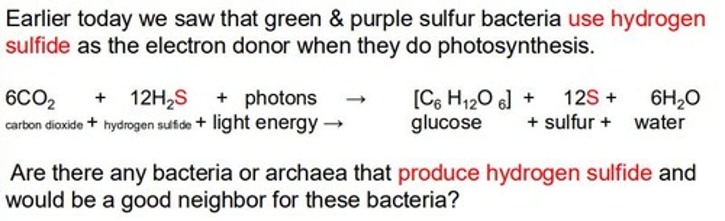 <p>Gram-positive bacteria have a thick peptidoglycan layer, while Gram-negative bacteria have a thinner layer and an outer membrane.</p>