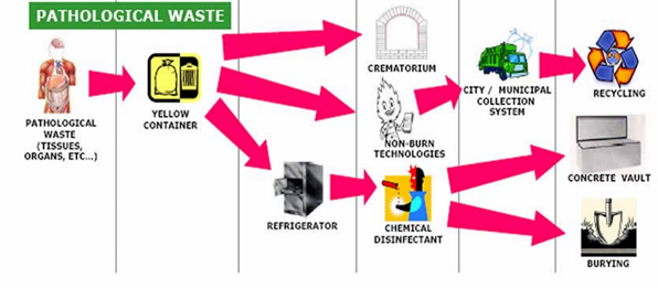 <p>This waste handling is for?</p>