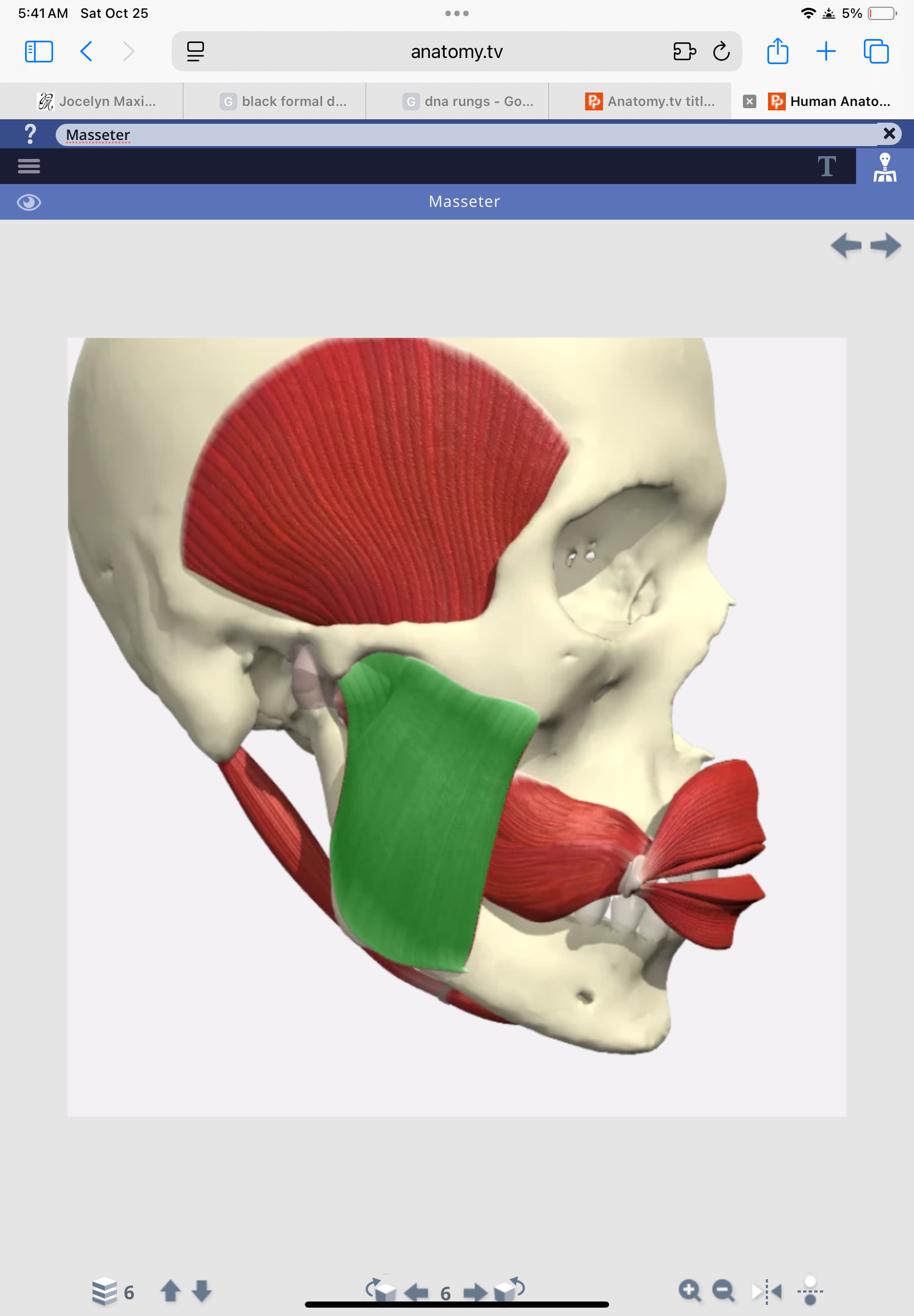 knowt flashcard image