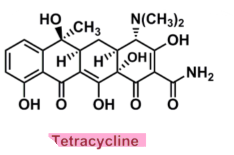 <ul><li><p>inhibit bacterial synthesis by binding 30S subunit, blocks binding of any incoming tRNA</p><ul><li><p>translation may stop cause cannot add anymore AA’s and get incomplete protein</p></li><li><p>could get wrong AA put on the protein chain</p></li></ul></li><li><p><u>pharmacophore:</u> <strong>napthacene</strong></p></li><li><p>tetracycline</p></li><li><p>doxycycline</p></li><li><p>tigecycline</p></li><li><p>minocycline</p></li></ul>