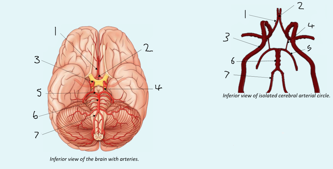 <p>What is 4?</p>