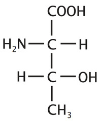 <p>Polar neutral; * 1 of the two AA (isoleucine) that has a chiral carbon in its side chain</p>