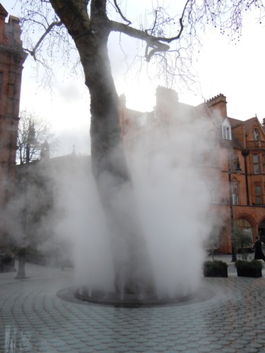 <p>the gaseous form of water</p>