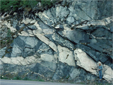 <p>A: dykes of felsic composition cut through dark-coloured mafic volcanic rocks </p><ul><li><p>near Lakelse, BC</p></li></ul>
