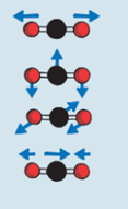 <p>CO2-molecule can absorb heatradiation -&gt; the energy increases the rotation and vibration of the molecule. +</p>