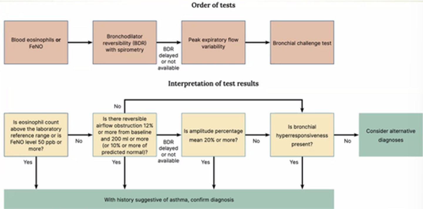 <p>Amount of NO in exhaled breath.</p><p>Indication of eosinophilic inflammation in lungs.</p><p>(NO is excreted from eosinophils).</p><p>(Picks up eosinophilic asthma).</p>