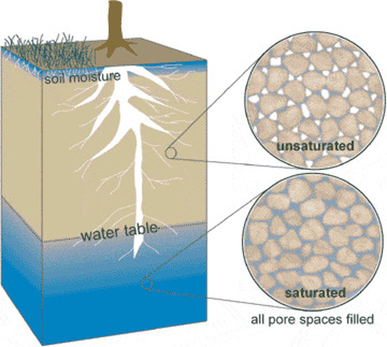 <p>lower region of groundwater where all the pore spaces in a rock or sediment are filled with water</p>