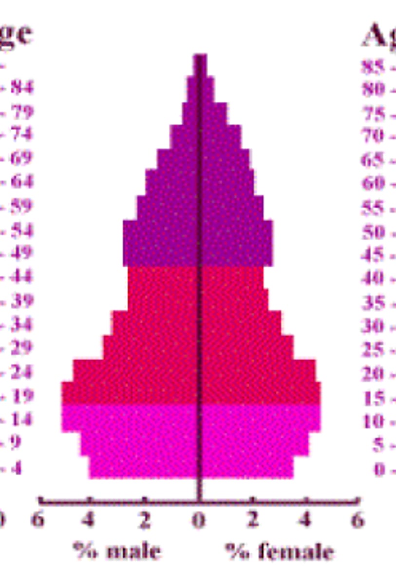 <p>typical of later developing countries. Growth rate is still increasing</p>