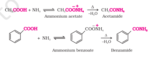 <ul><li><p>Carboxylic acids react with ammonia to give ammonium salts that on further heating give amides</p></li></ul>