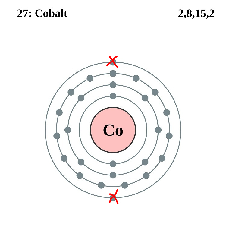 <p>Co²⁺ (Monatomic Cation)</p>