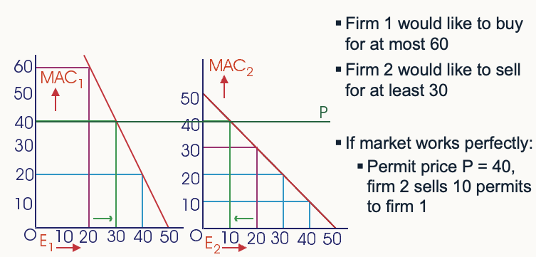<p>Govt allocates permits for both to emit 20 (wants E = 40) </p><p>Cheaper for 2 to cut E so they sell permits</p><p>2 sells permits until MAC<sub>1</sub> = MAC<sub>2</sub> = permit price</p>