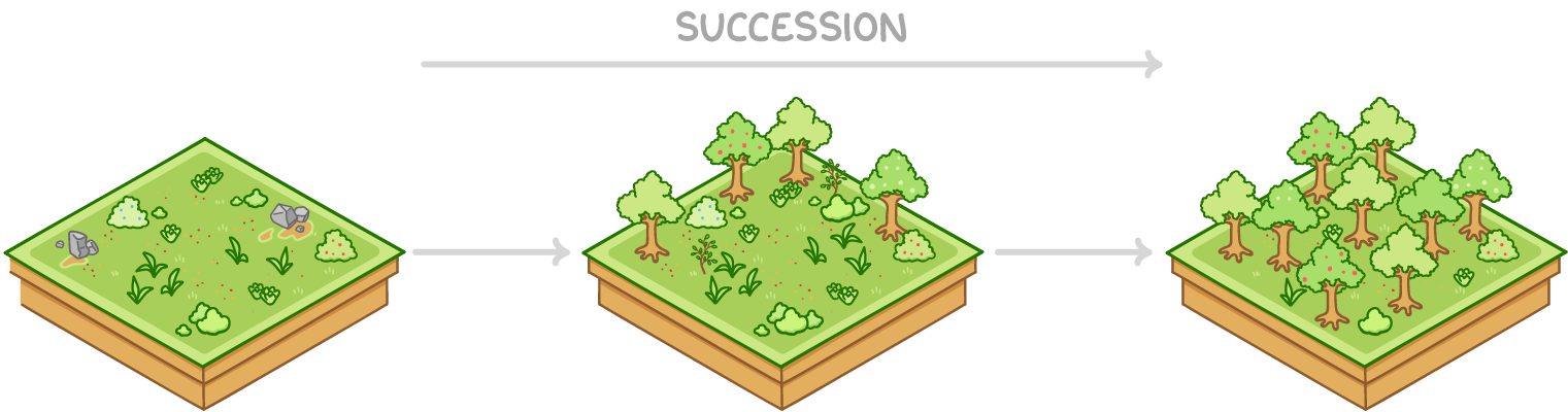 <ul><li><p>preventing succession by preserving an ecosystem in its current stage of succession</p></li><li><p>e.g. mowing the lawn to prevent the growth of shrubs and trees</p></li></ul><p></p>