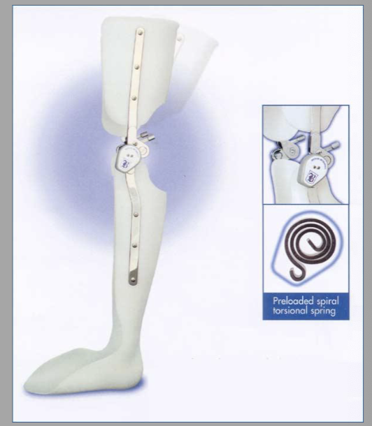 <p>Stance Flexion joint </p>