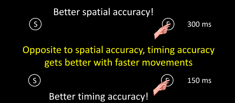 <ul><li><p>max force - movements at around 70% of max force become less variable, slide 34</p></li><li><p>Movement timing : </p><ul><li><p>Spatial accuracy: Accuracy of rapid movements for which the spatial position of the movement’s endpoint is important to task performance.</p></li><li><p>Timing accuracy: Accuracy of rapid movements for which the accuracy of the movement time is important to task performance.</p></li></ul></li></ul><p></p>