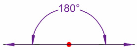 an angle that measures exactly 180 degrees