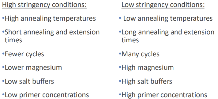 <p><span style="font-family: &quot;Times New Roman&quot;, serif;">The conditions of PCR determine stringency of PRIMER binding and thus determine the specificity of the PCR reaction (do you produce your target band and ONLY your target band)</span></p><p class="MsoNormal" style="text-align: center;"></p><p>IMAGE: Don't need to make all these changes at once. If you had many non-specific products start on the left or if you had no products start on the right</p><p class="MsoNormal"><span style="font-family: &quot;Times New Roman&quot;, serif;">The conditions you use for probe incubation determine stringency of hybridization</span></p>