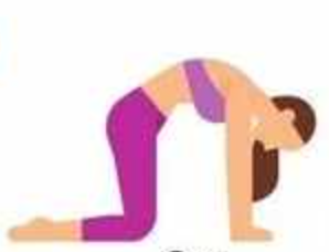 <p>name this pose</p>