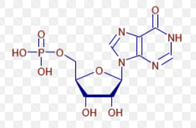 <p>what molecule is this?</p>