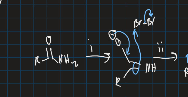 <p>Complete this reaction using the Hoffman rearrangement </p>