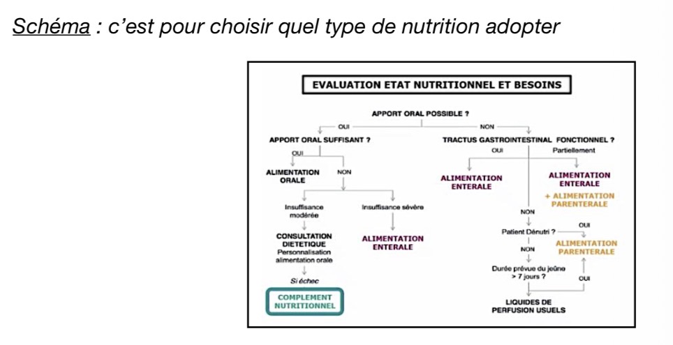 <ul><li><p>Nutrition orale </p></li><li><p>Nutrition entérale</p></li><li><p>Nutrition parentérale </p></li></ul><p></p>