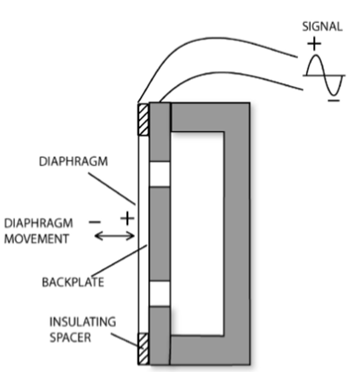 <p>What type of microphone is this?</p>