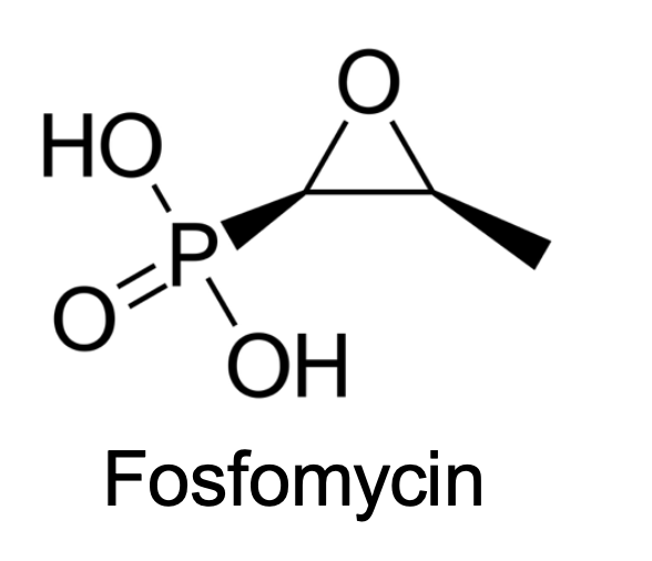 <p>What Transporters does this drug taken up?</p>