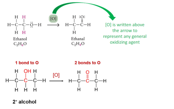 <ul><li><p>[O]</p></li><li><p>increases number of carbon oxygen bonds - add oxygen or remove hydrogens</p></li><li><p>primary alcohols are oxidized to produce aldehyde then can react again to form a carboxylic acid (carbonyl bonded to OH)</p></li><li><p>secondary alcohols are oxidized to produce a ketone</p></li><li><p>tertiary alcohols do not oxidize because there are no hydrogen atoms on the carbon bonded to the OH group</p></li></ul>