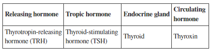 <p>Refer to the table. The four components shown in the table are included within a negative feedback loop involving the hypothalamus and anterior pituitary. Knowing this, which statement about this system is true?</p>