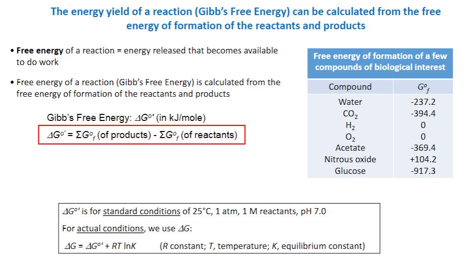 <p>Gibbs free energy</p>