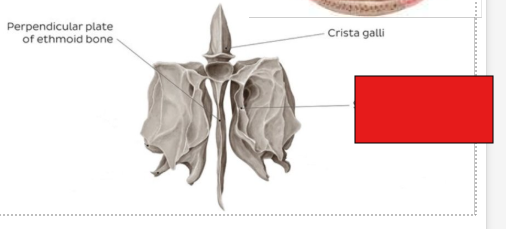 <p>fill in the red box:</p>