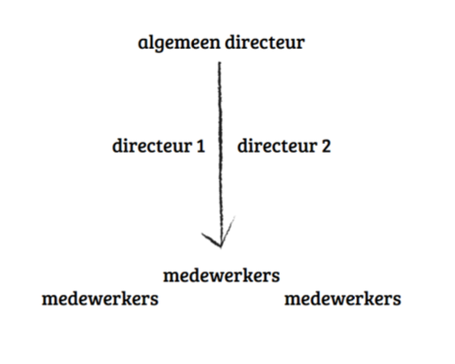 <p>Wat is een functionele organisatie?</p>