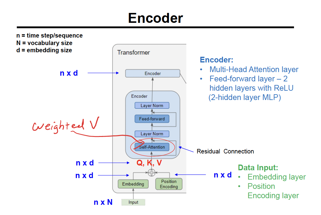 <p>input → </p><p>embedding + position encoding → </p><p>self - attention (produces weighted V) → residual connection (skip connection)  → </p><p>layer norm → </p><p>feed forward → </p><ul><li><p>2 hidden layers with ReLU (2-hidden layer MLP) </p></li></ul><p>layer norm → decoder </p><p></p>