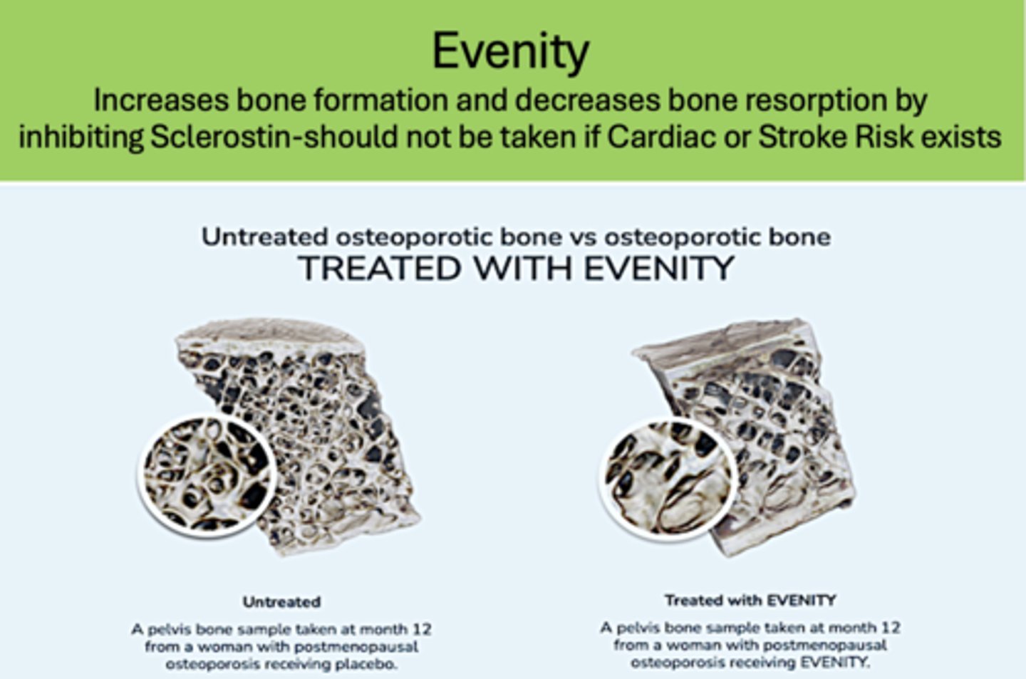 <p>Evenity</p>