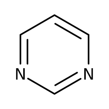 <p>funct group</p>
