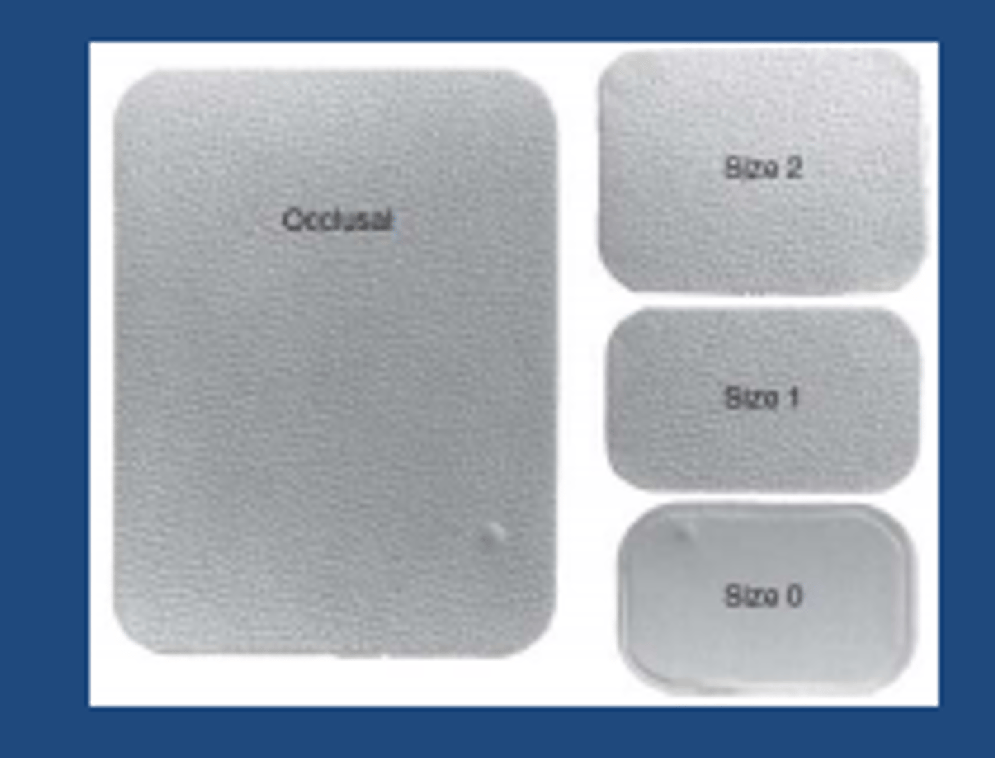 <p>digital sensor or film</p>