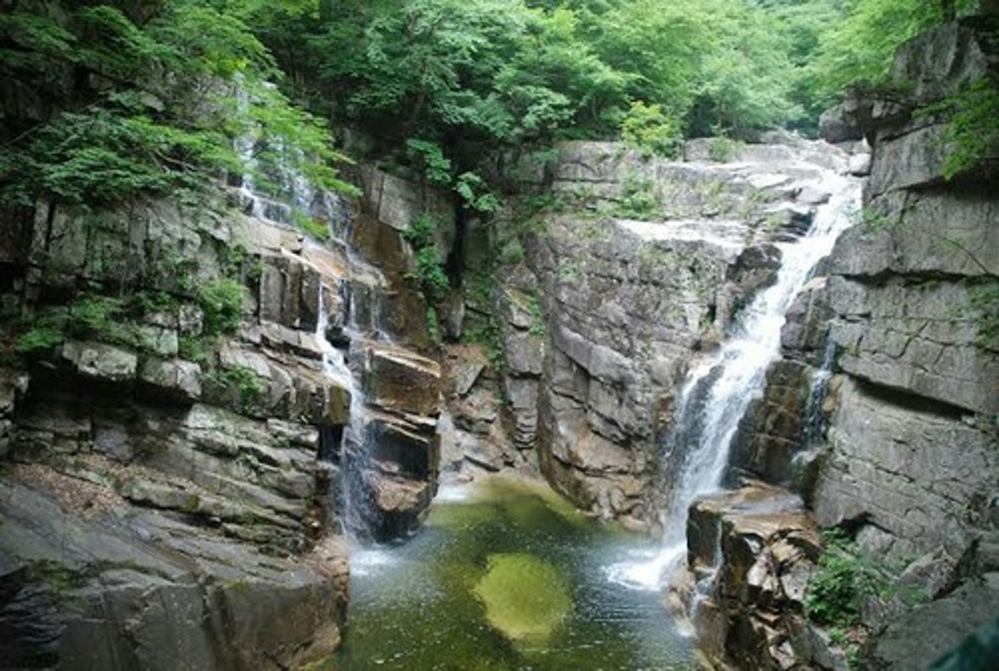 <p>khe suối</p>