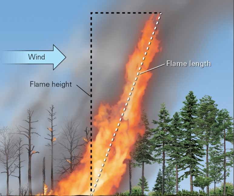 <ul><li><p>distance from the base to the end of the flame</p></li><li><p>more intense fire = longer flame length</p></li></ul>