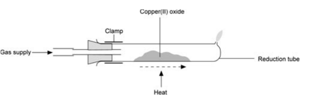 <p>have you learn the picture</p>