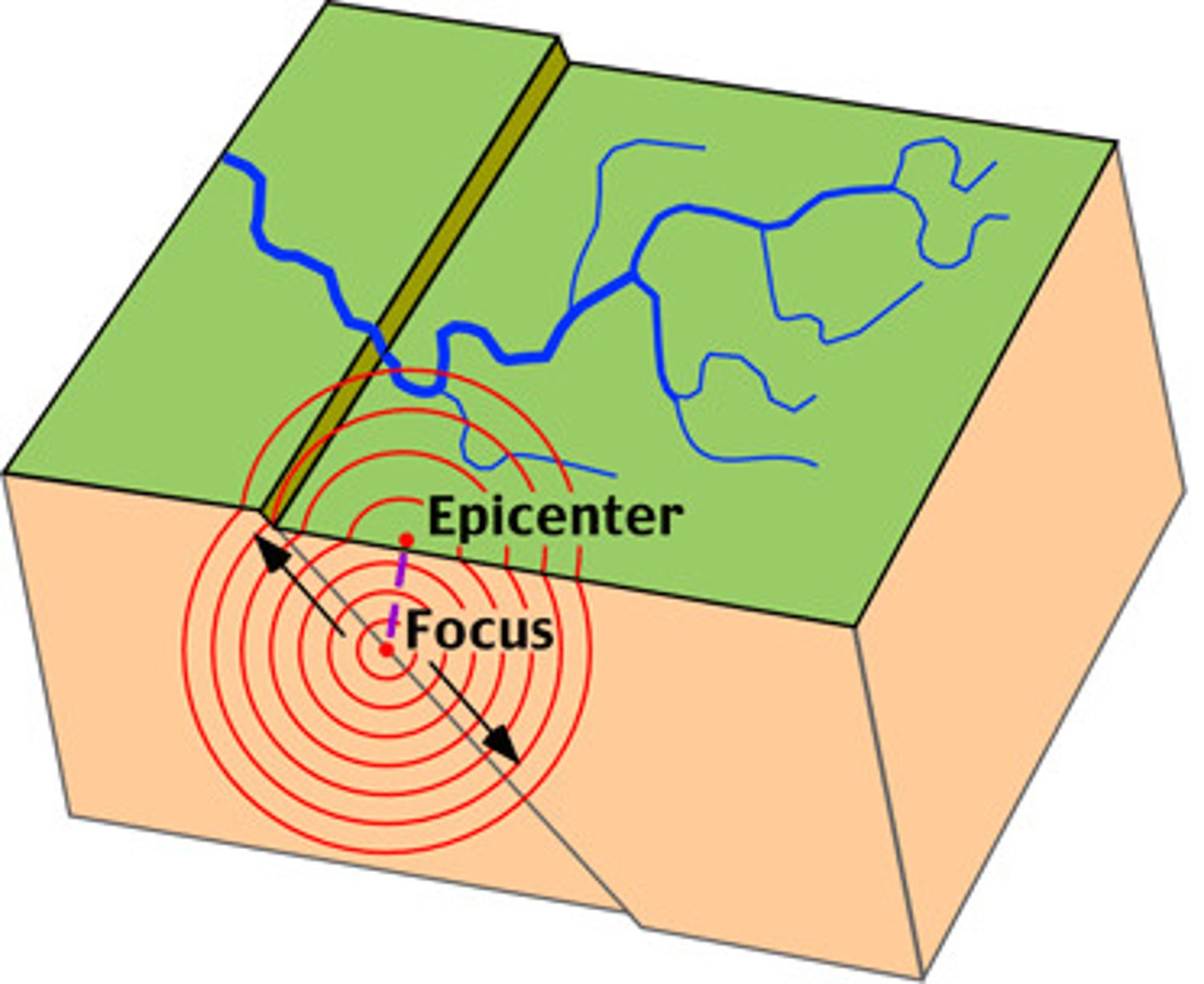 <p>the exact point on the surface of Earth directly above the location where rock ruptures during an earthquake.</p>