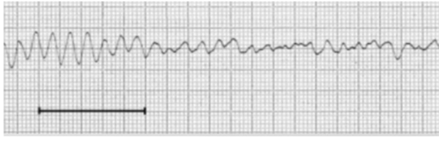 <p>what is the problem here?</p>
