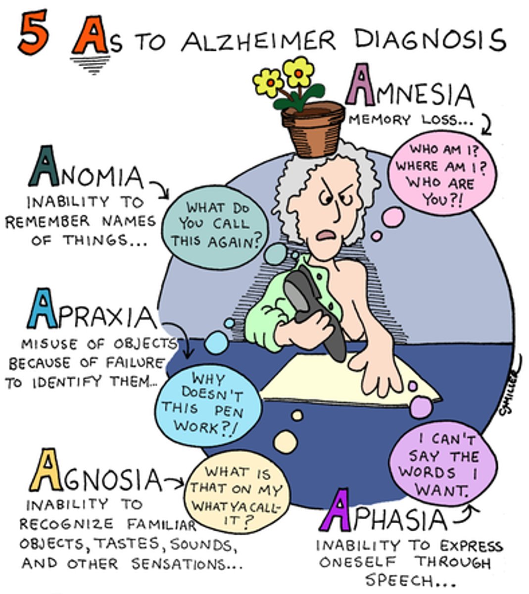 <p>a progressive and irreversible brain disorder characterized by gradual deterioration of memory, reasoning, language, and, finally, physical functioning</p>